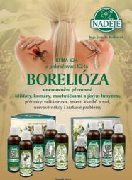 Bylinky na liečenie boreliózy