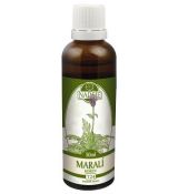 Leuzea - maralí koreň 50ml, T24 - tinktúra z bylín