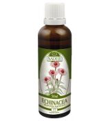 Echinacea 50ml T7 - tinktúra z bylín