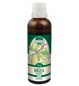 Breza previsnutá 50ml, P2 A - tinktúra z púčikov rastlín