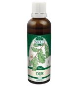 Dub letný 50ml, P12 - tinktúra z púčikov rastlín