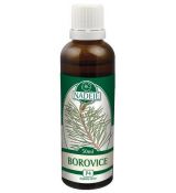 Borovica lesná 50ml, P4 - tinktúra z púčikov rastlín