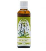 Mukolyt tinktúra 50 ml Naděje Podhorná