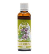 Koloben tinktúra 50 ml Naděje Podhorná