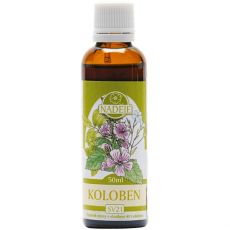 Koloben tinktúra 50 ml Naděje Podhorná
